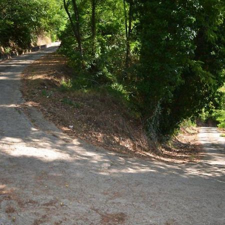 A'Loro B&B Terranuova Bracciolini Kültér fotó