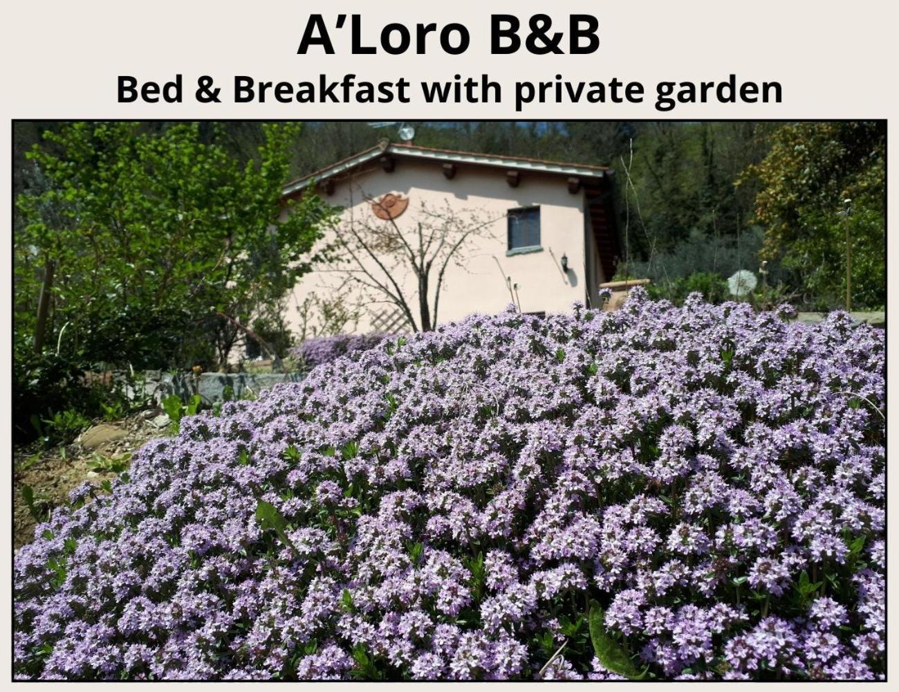 A'Loro B&B Terranuova Bracciolini Kültér fotó
