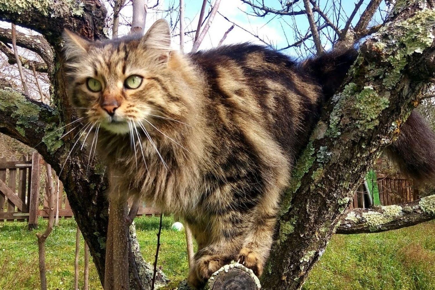 A'Loro B&B Terranuova Bracciolini Kültér fotó