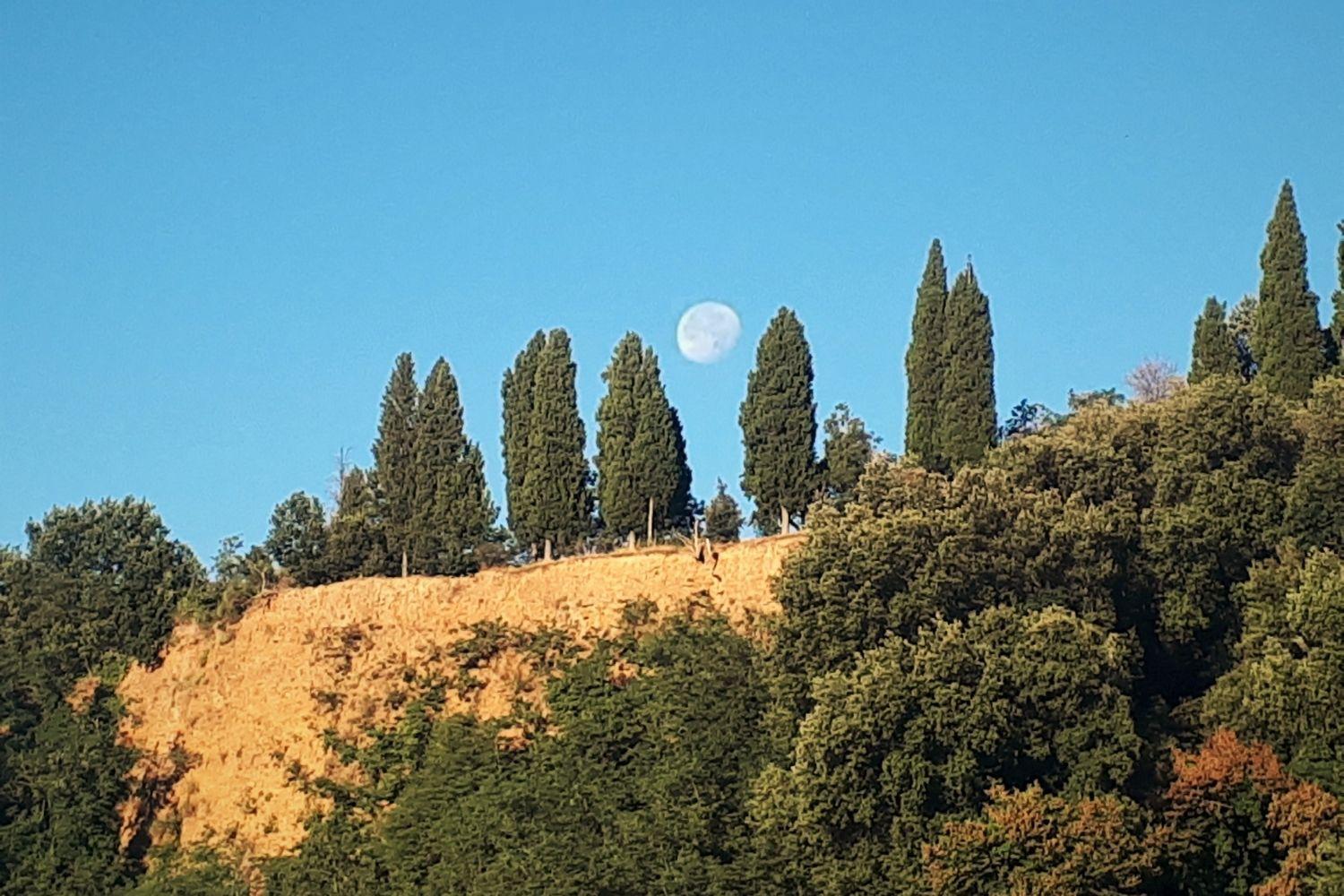 A'Loro B&B Terranuova Bracciolini Kültér fotó